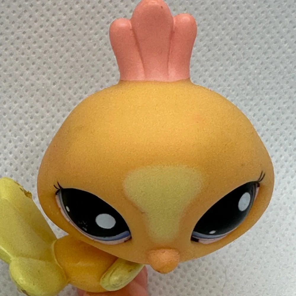 Orange and Yellow Pastel Peacock‎ Bird Littlest Pet Shop.  Guaranteed authentic